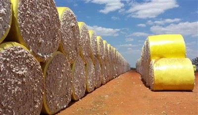 Filme de envoltório de fardo de algodão